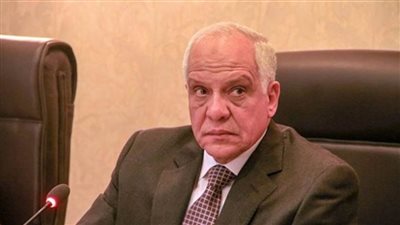 محافظ الجيزة: 