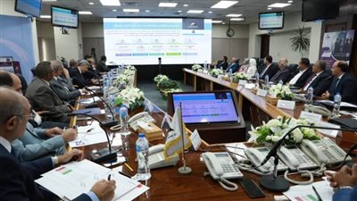 معلومات الوزراء يعقد ورشة العمل الـ25 لمناقشة مستهدفات قطاعي الكهرباء والغاز بوثيقة 