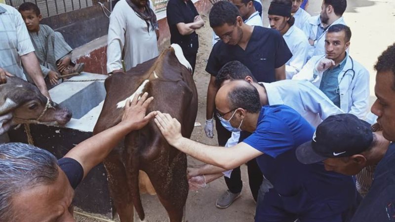 جانب من القوافل