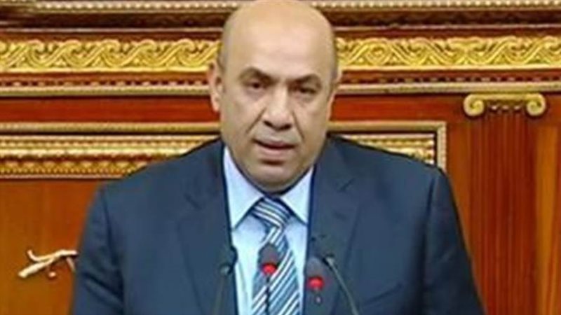 النائب علاء عبدالنبي