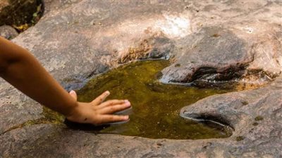 الجفاف يكشف آثار أقدام ديناصورات عملاقة في تكساس