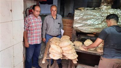 ضبط مخابز ومحال تجارية مخالفة خلال حملة تموينية بالدقهلية 