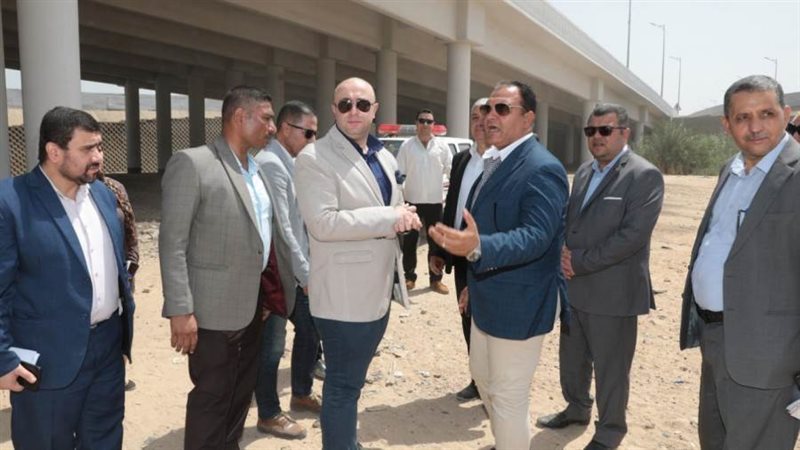 محور عدلى منصور