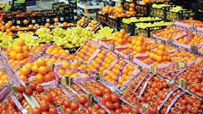 الزراعة: حركة الصادرات الزراعية لدولة ليبيا متميزة 