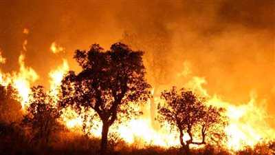 الجزائر: إخماد 22 حريقا نشب في 12 ولاية خلال 24 ساعة