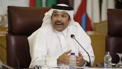 رئيس لجنة حقوق الإنسان العربية يؤكد أهمية التكامل بين الآليات الإقليمية والوطنية