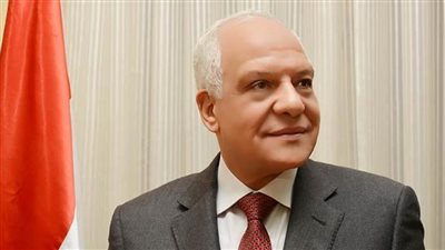 محافظ الجيزة: 