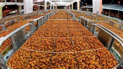 موريتانيا تحتضن أول مهرجان دولي للتمور السبت القادم