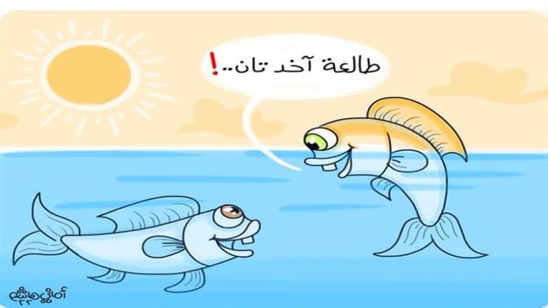 ريشة أماني هاشم