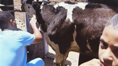 محافظ أسيوط يشيد بالقوافل الطبية البيطرية التي تنظمها كلية الطب البيطري بقرى المحافظة