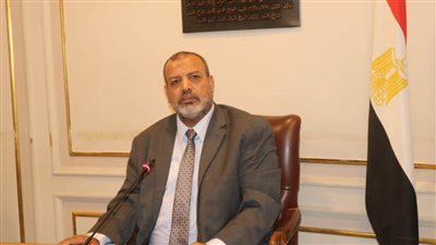 عبد الجليل: اهتمام القيادة السياسية بالمشروعات الصغيرة غير مسبوق