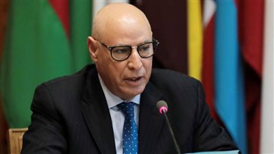    الأمين المساعد للجامعة العربية يشيد بمعالجة ظاهرتي الإرهاب والتطرف في الأعمال الدرامية