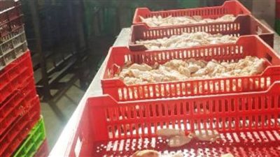 ضبط 6 أطنان لحوم ودواجن مخالفة بالشرقية