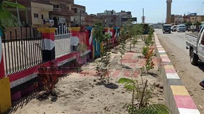 زراعة أشجار وتجميل الميادين بمدن وقرى كفر الشيخ