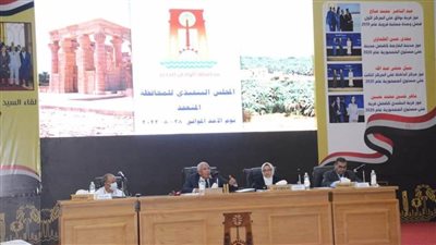 7 قرارات للمجلس التنفيذي للوادي الجديد