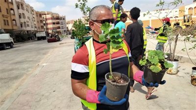 مستقبل وطن الشروق ينفذ فاعلية 