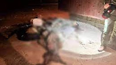  مقتل أربعة عناصر من 