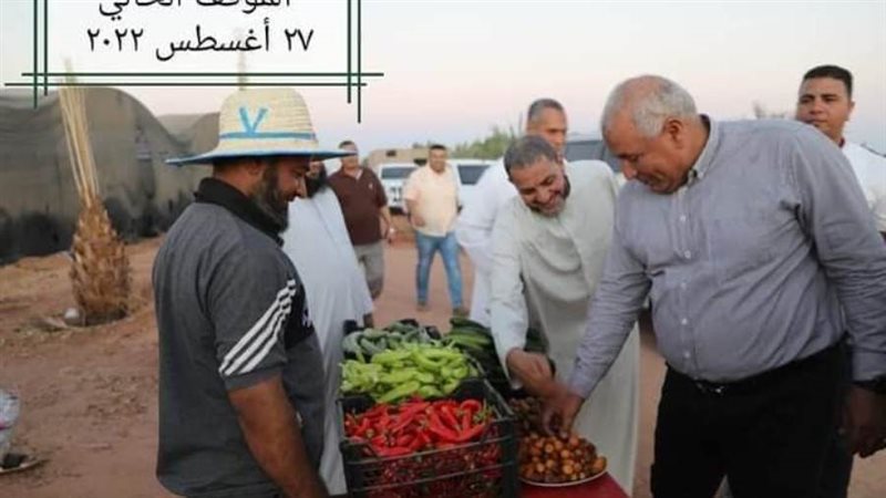 اللواء الزملوط يشيد