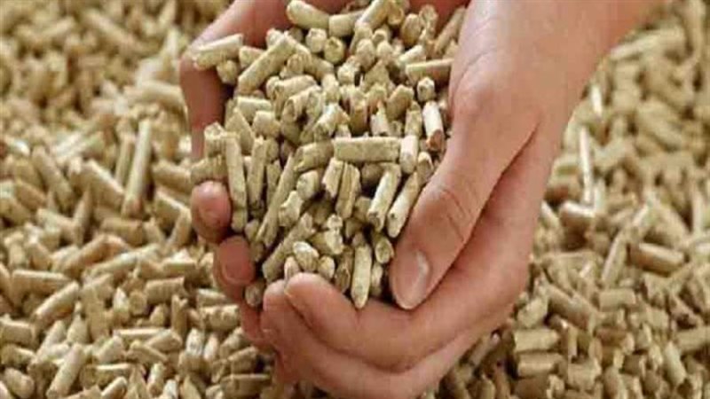 أسعار الأعلاف داخل