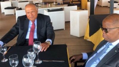 شكري يبحث مع نظيره الجابوني القضايا القارية والدولية ذات الأولوية