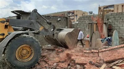 إزالة 43 حالة تعد على أملاك الدولة وأراضٍ زراعية بالقناطر والبدرشين