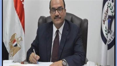 جامعة العريش ترعى وتنفذ مبادرة أشبال مصر الرقمية 