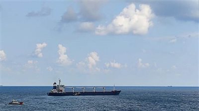 الأمم المتحدة: 3 سفن محملة بالحبوب الأوكرانية تتجه إلى مصر واليمن ورومانيا