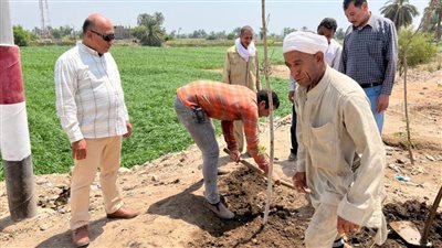 استمرار تنفيذ فعاليات مبادرة زراعة 100 مليون شجرة وحملات تشجير مكبرة بمركز أسيوط