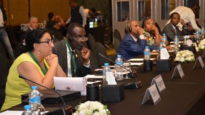  التنمية المحلية: تجربة مصر لدعم اللامركزية أسهمت فس توطين رؤية مصر 2030 على المستوى المحلي