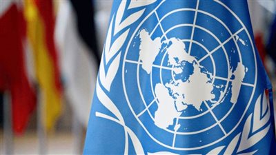 الأمم المتحدة: أزمة الغذاء تتعلق بالتكاليف وليس بالتوافر .. وتحدد موعد انخفاض الأسعار 