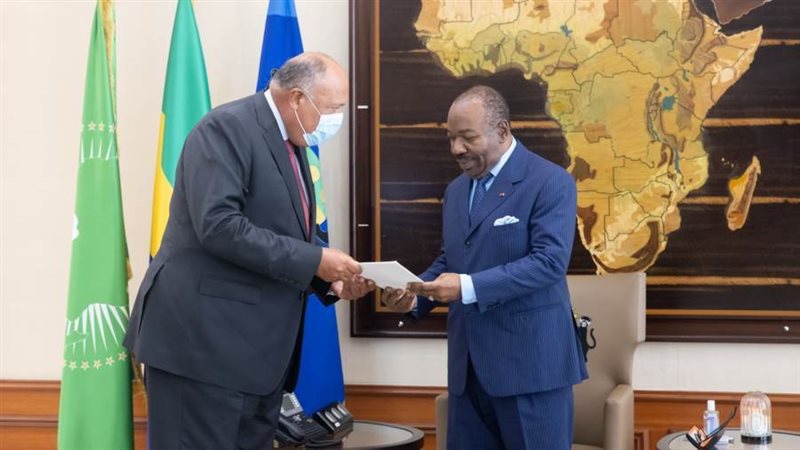 شكري يسلم الرئيس