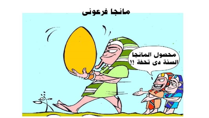 ريشة ثروت مرتضى