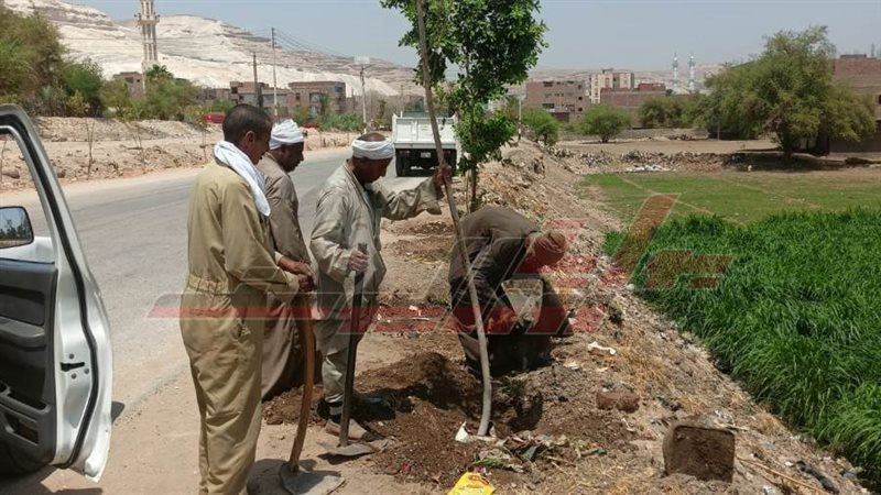 زراعة الأشجار