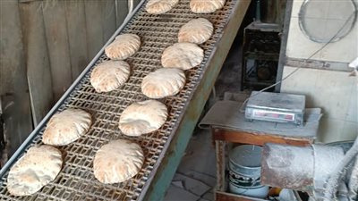 ضبط مبيدات زراعية منتهية الصلاحية وتحرير ٣٩ محضرًا تموينيًّا بالبحيرة