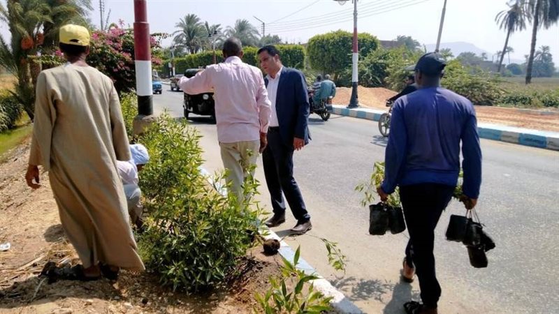 جانب من الزاعه