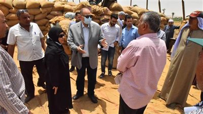 محافظ أسيوط: انتهاء موسم توريد محصول القمح المحلي بإجمالي توريد 170 ألفًا و264 طنًا 