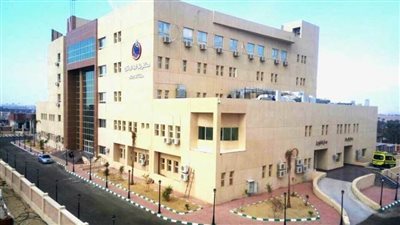 وصول دفعة جديدة من أطباء الجامعات المصرية إلى مستشفى بئر العبد
