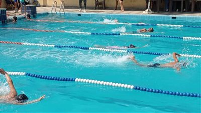 بحضور 300 سباح.. نادي المنيا يستضيف اختبارات نجوم السباحة التابعة للاتحاد المصري