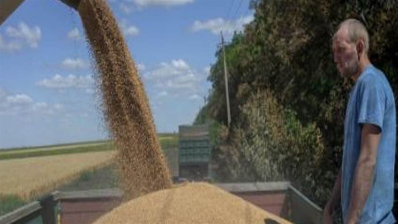 توريد القمح للشرق