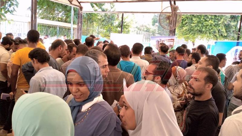 بوابة روز اليوسف