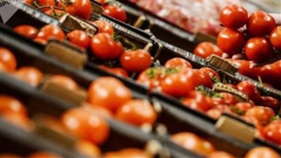 حقيقة رفض استقبال شحنات المنتجات الزراعية المصرية المصدرة للخارج 