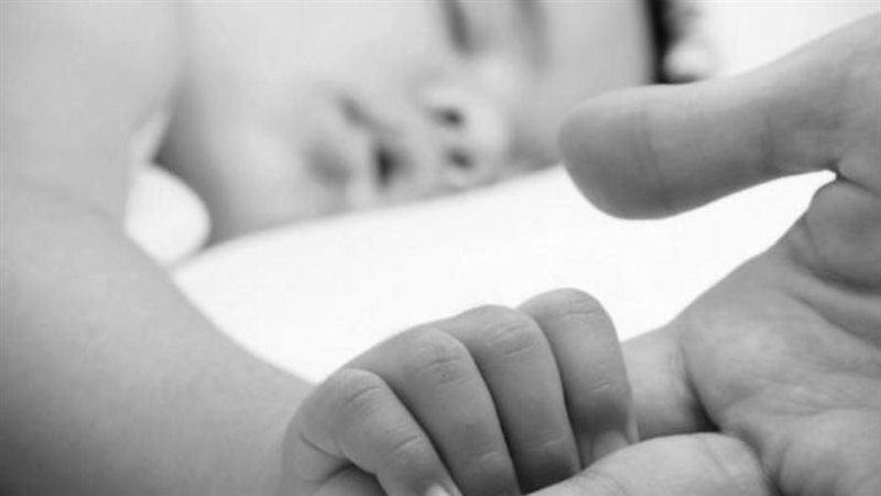 صورة أرشفية