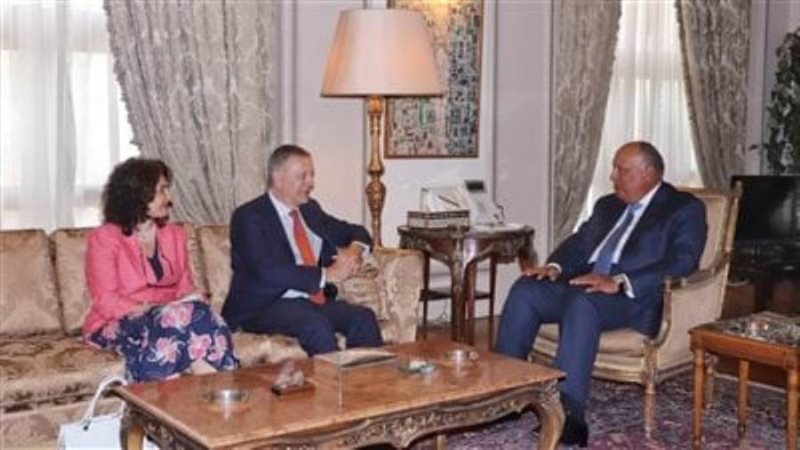 شكري يؤكد استمرار