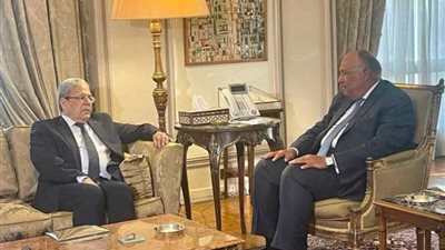 شكري يؤكد دعم مصر لتونس في الخطوات التي تتخذها نحو الاستقرار والتنمية