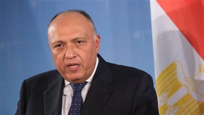 شكري يبحث مع وزيرة خارجية سلوفينيا جذب الاستثمارات