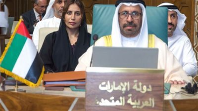 وزير خارجية الإمارات: نمد يد الصداقة إلى كل دول المنطقة