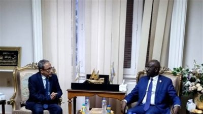 أمين عام مجلس الوحدة الاقتصادية يستقبل وزير خارجية موريتانيا