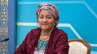 الأمم المتحدة: مصر اتخذت مبادرات مهمة للتحول الأخضر وتوطين 