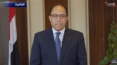 بالفيديو.. تصريحات المتحدث باسم الخارجية بشأن رئاسة الدورة 158 لمجلس الجامعة العربية