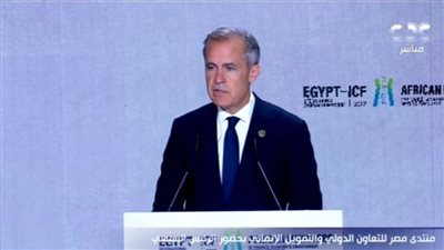 المبعوث الأممي للمناخ يشيد بالجهود التي حققتها مصر في مواجهة تغير المناخ